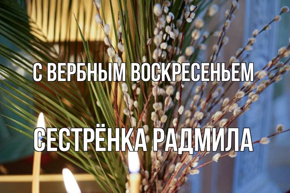 Открытка на каждый день с именем, Сестрёнка-Радмила С вербным воскресеньем верба Прикольная открытка с пожеланием онлайн скачать бесплатно 