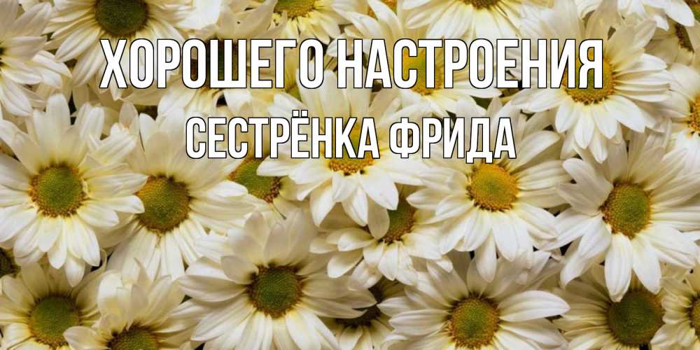 Открытка на каждый день с именем, Сестрёнка-Фрида Хорошего настроения крупные ромашки Прикольная открытка с пожеланием онлайн скачать бесплатно 