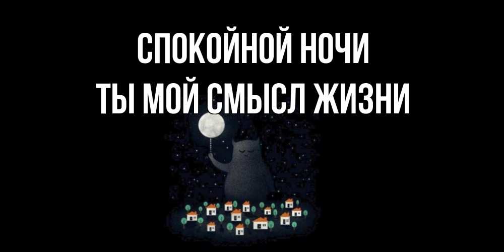 Открытка на каждый день с именем, Ты-мой-смысл-жизни Спокойной ночи кот,луна, ночь, звезды Прикольная открытка с пожеланием онлайн скачать бесплатно 