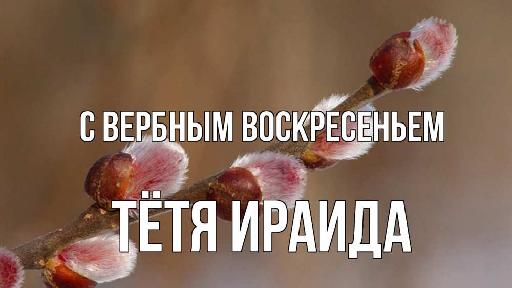 Открытка на каждый день с именем, Тётя-Ираида С вербным воскресеньем верба Прикольная открытка с пожеланием онлайн скачать бесплатно 