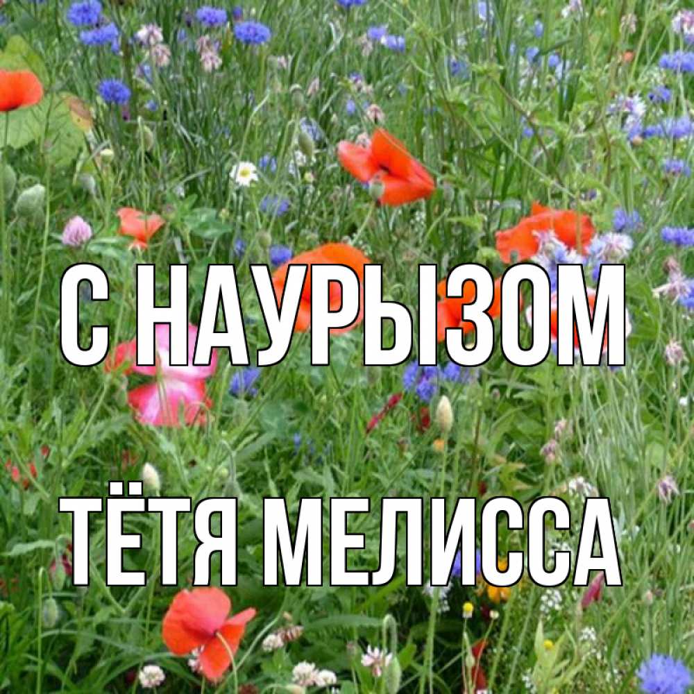 Открытка на каждый день с именем, Тётя-Мелисса С наурызом праздник весны наурыз супер открытка Прикольная открытка с пожеланием онлайн скачать бесплатно 