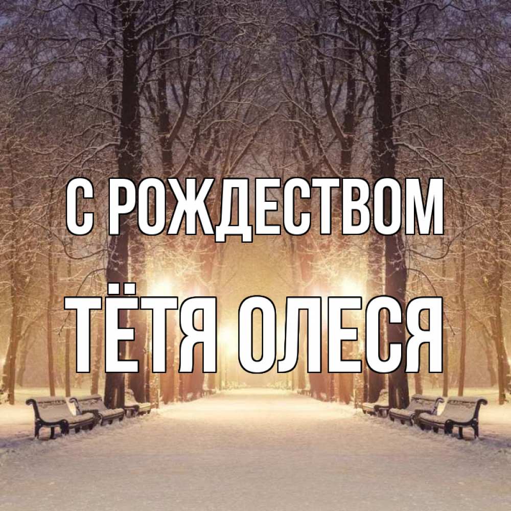 Открытка на каждый день с именем, Тётя-Олеся С рождеством зима, парк, фонарь, лес Прикольная открытка с пожеланием онлайн скачать бесплатно 