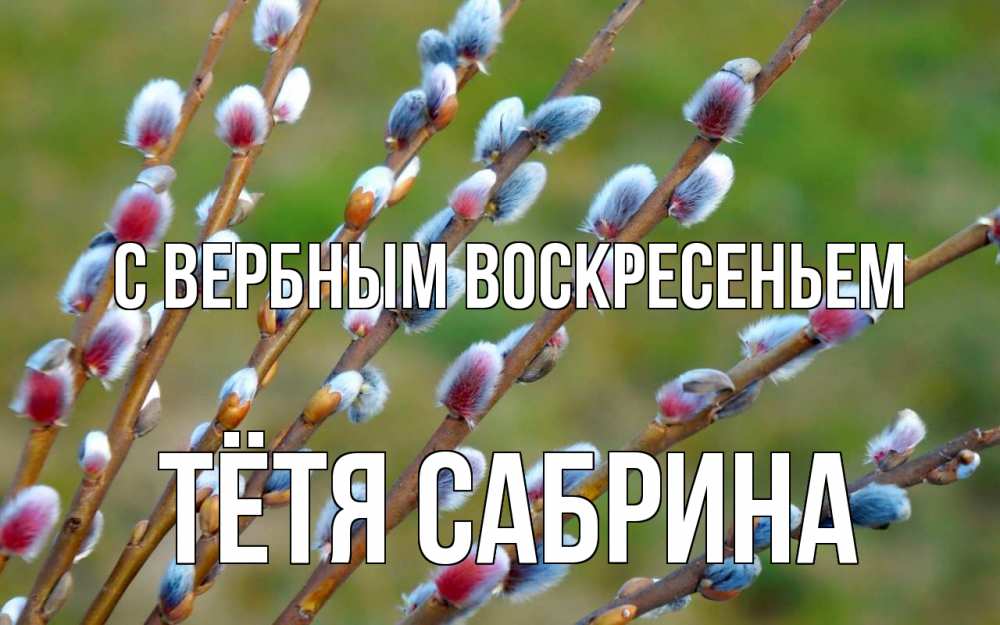 Открытка на каждый день с именем, Тётя-Сабрина С вербным воскресеньем верба Прикольная открытка с пожеланием онлайн скачать бесплатно 