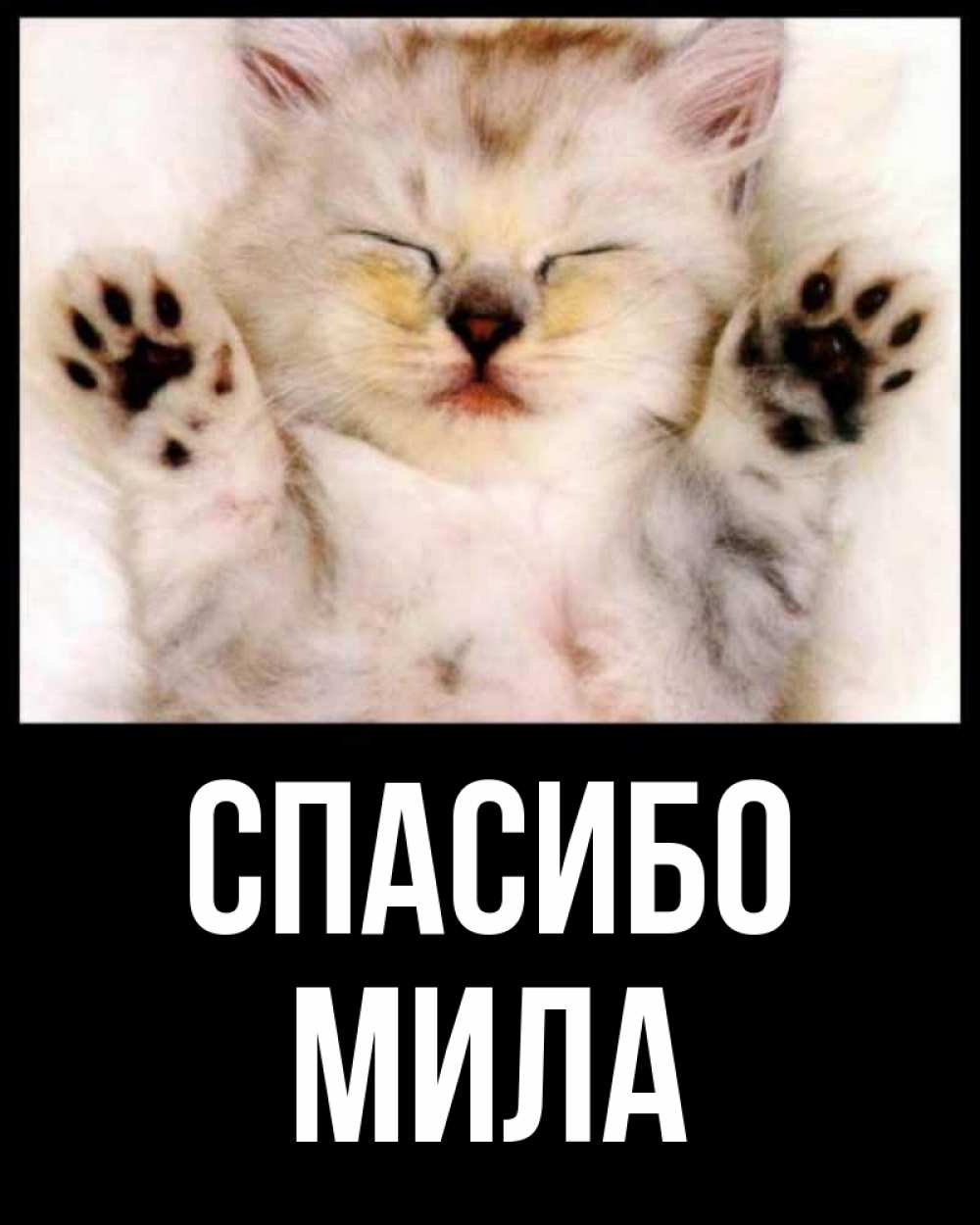 Спасибо милый картинки