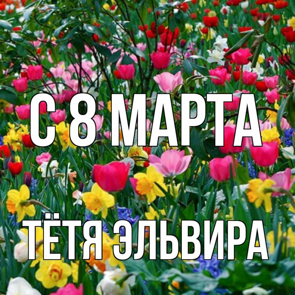 Открытка на каждый день с именем, Тётя-Эльвира С 8 марта с международным женским днем поздравления для женщины Прикольная открытка с пожеланием онлайн скачать бесплатно 