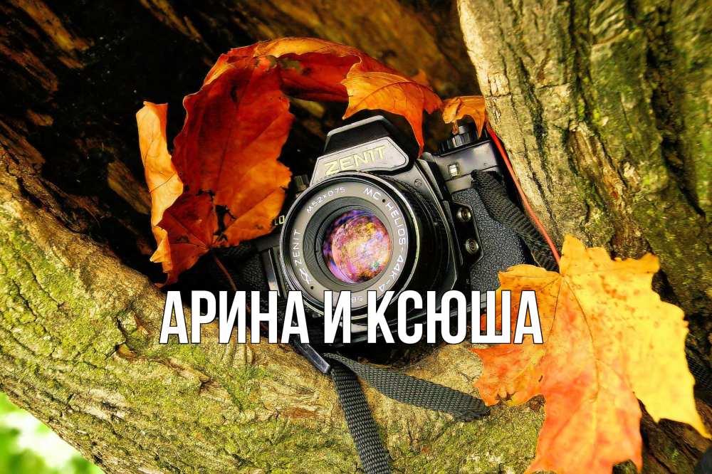 Открытка на каждый день с именем, Арина-и-Ксюша Главная с днем фотографа 1 Прикольная открытка с пожеланием онлайн скачать бесплатно 