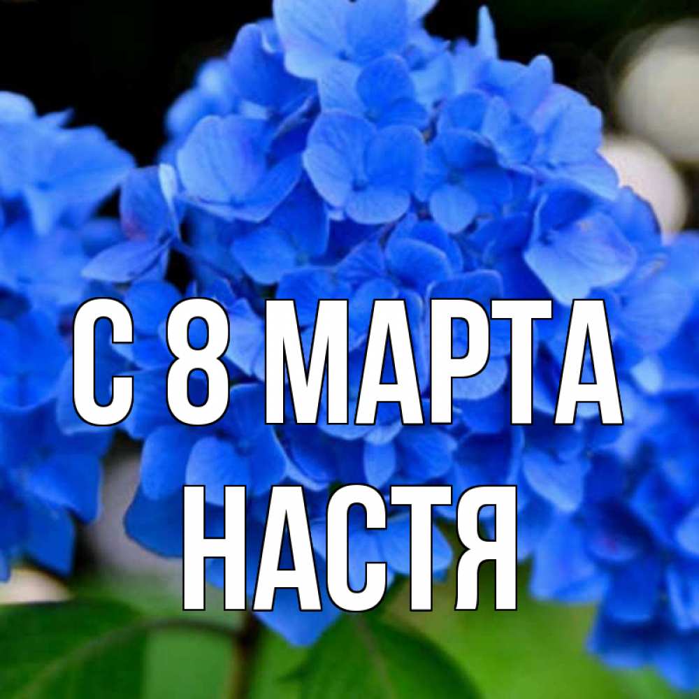 Картинка С 8 МАРТА, Настя