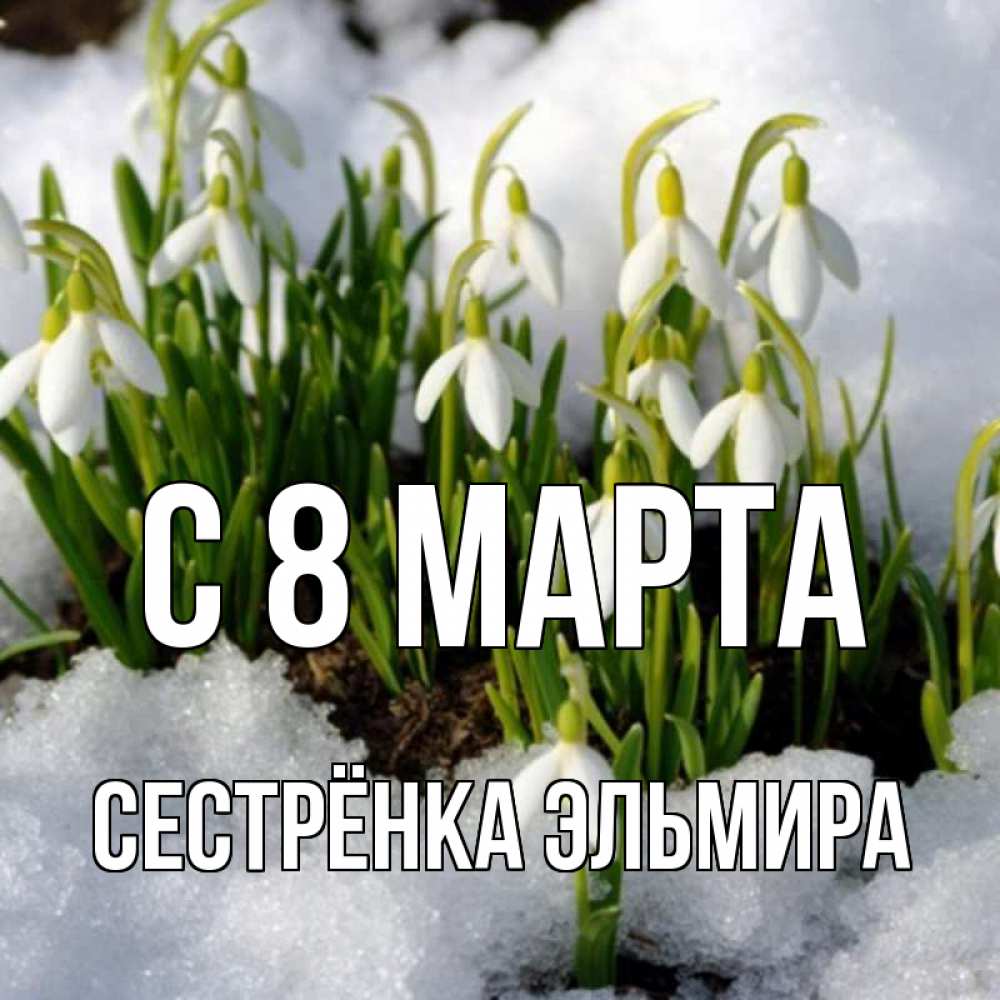 Открытка на каждый день с именем, Сестрёнка-Эльмира С 8 марта цветы весенние Прикольная открытка с пожеланием онлайн скачать бесплатно 
