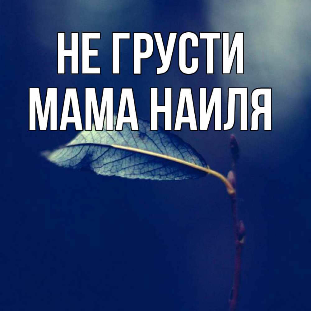 Открытка на каждый день с именем, Мама-Наиля Не грусти растение Прикольная открытка с пожеланием онлайн скачать бесплатно 