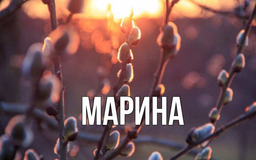 Открытка на каждый день с именем, Марина Главная верба Прикольная открытка с пожеланием онлайн скачать бесплатно 