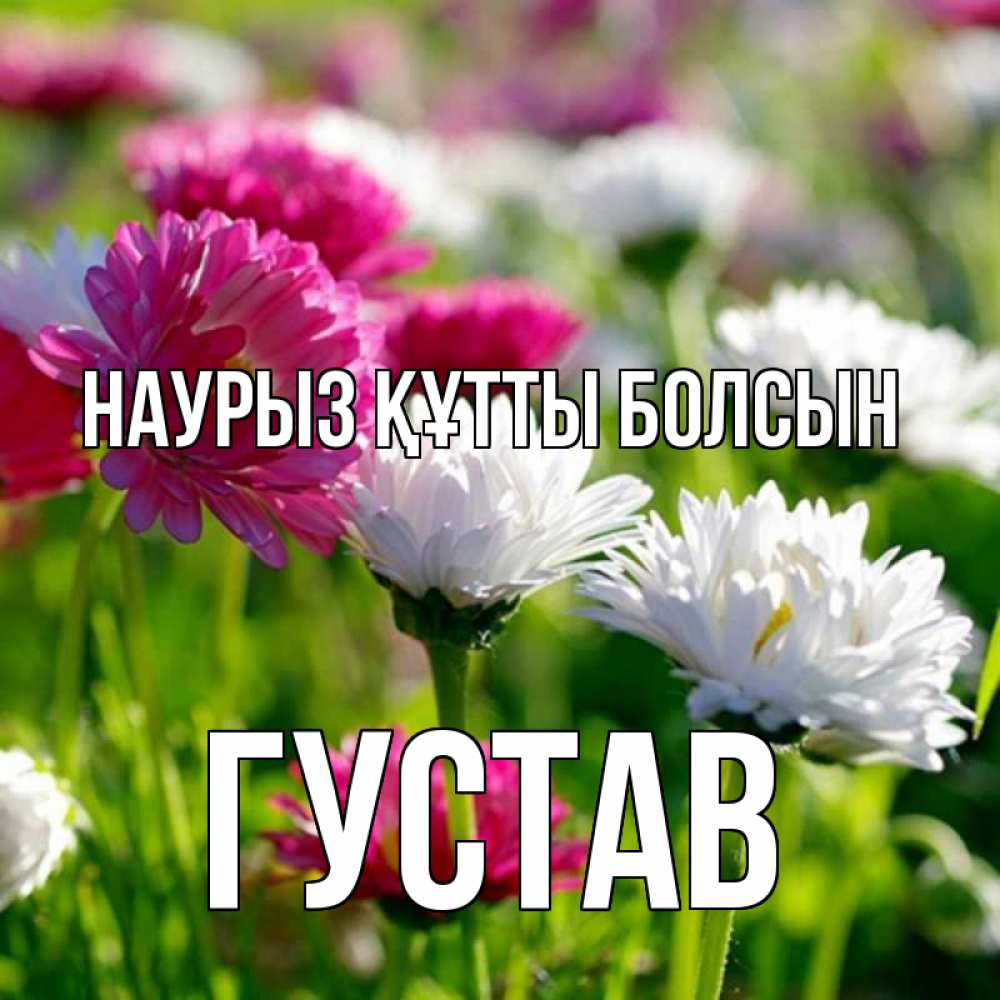 Открытка на каждый день с именем, Густав Наурыз құтты болсын наурыз Прикольная открытка с пожеланием онлайн скачать бесплатно 