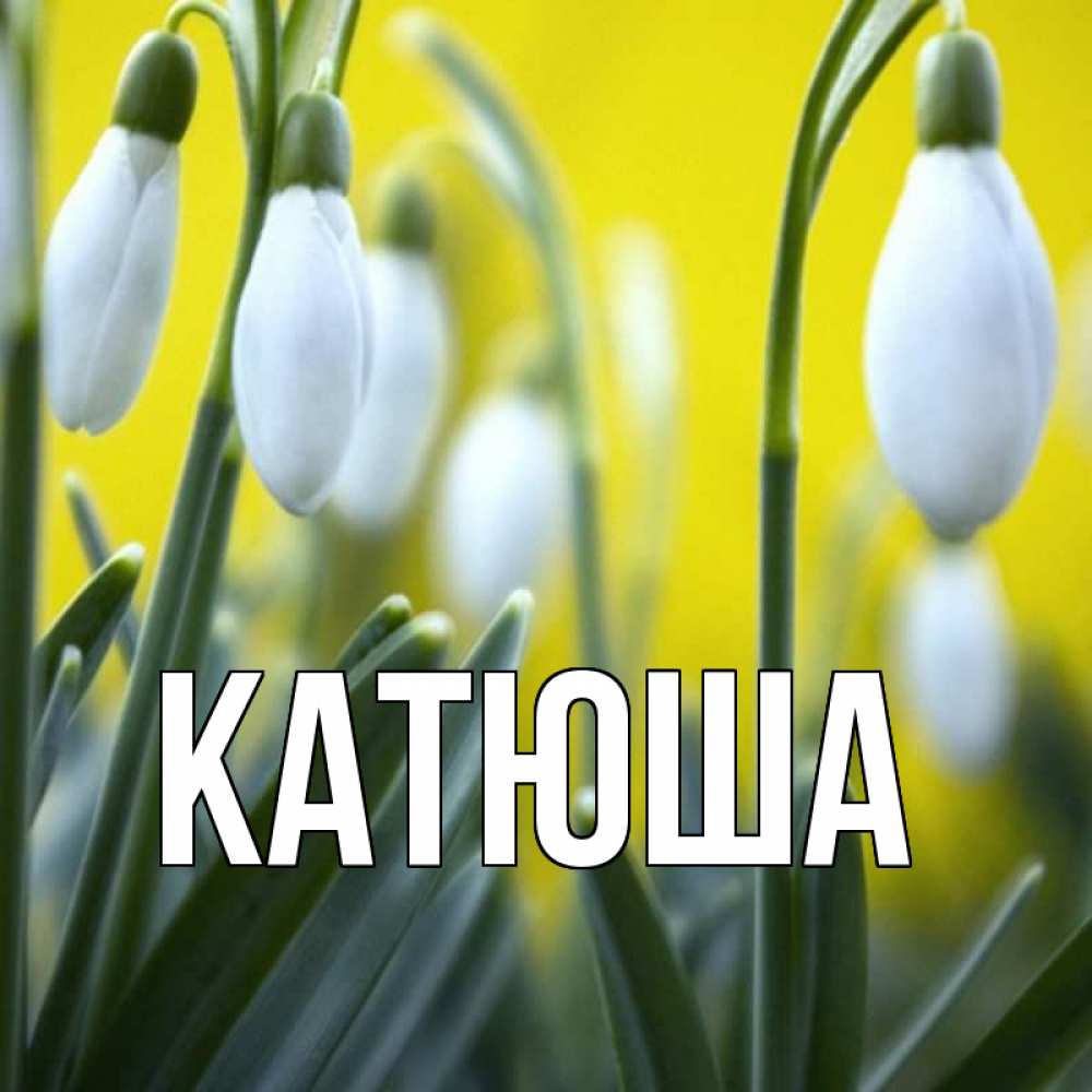 Открытка на каждый день с именем, Катюша Главная весенние цветы Прикольная открытка с пожеланием онлайн скачать бесплатно 