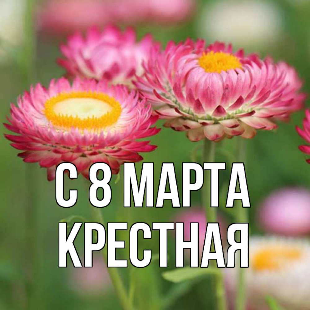 Открытка на каждый день с именем, Крестная С 8 МАРТА подарок на международный женский день Прикольная открытка с пожеланием онлайн скачать бесплатно 