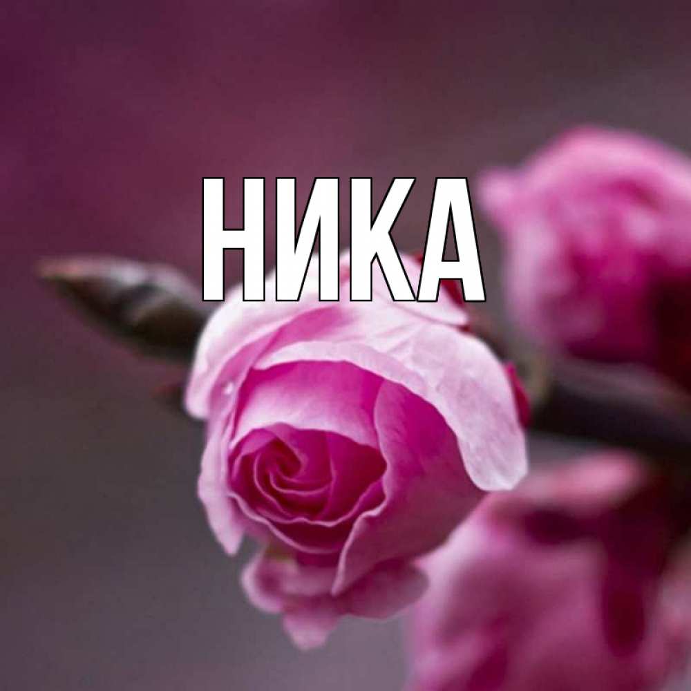 Ника открытка
