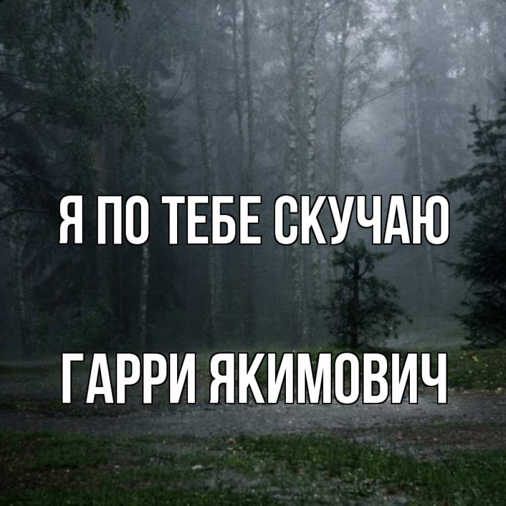 Картинка Я по тебе скучаю, Гарри Якимович