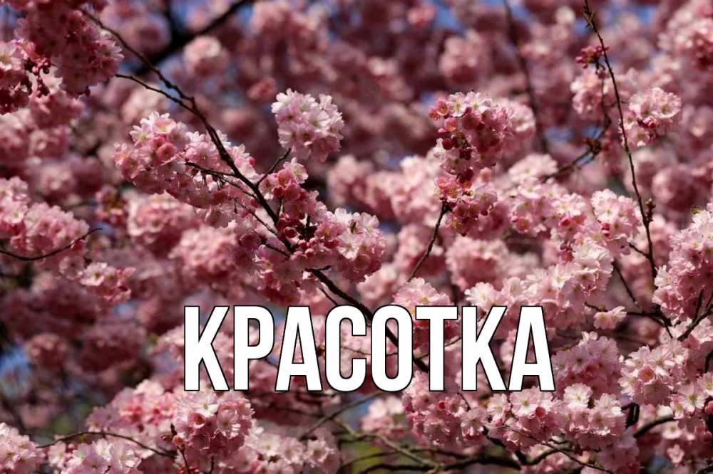 Открытка на каждый день с именем, красотка Главная С 1 мая Прикольная открытка с пожеланием онлайн скачать бесплатно 