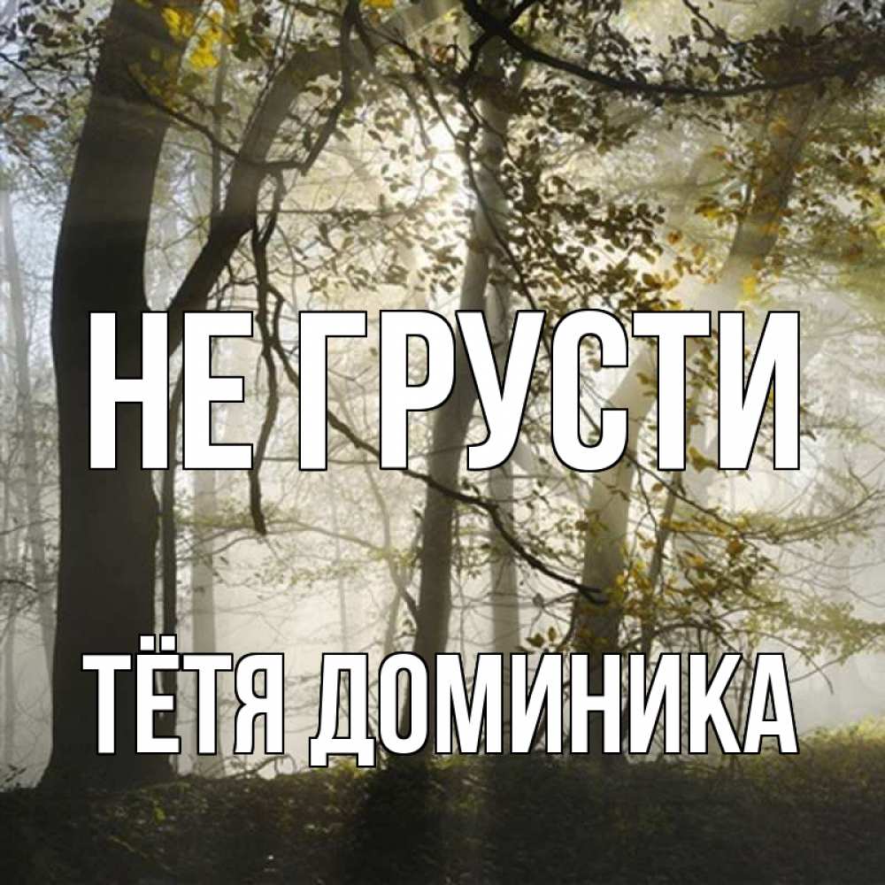 Открытка на каждый день с именем, Тётя-Доминика Не грусти лес и свет Прикольная открытка с пожеланием онлайн скачать бесплатно 