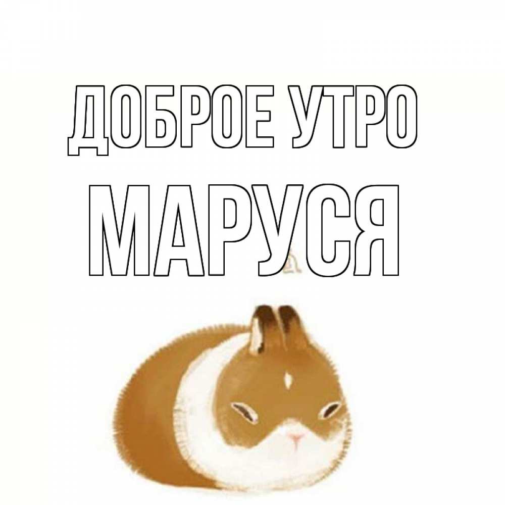 Доброе утро андрюша картинки