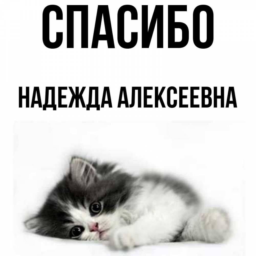 Надеюсь спасибо