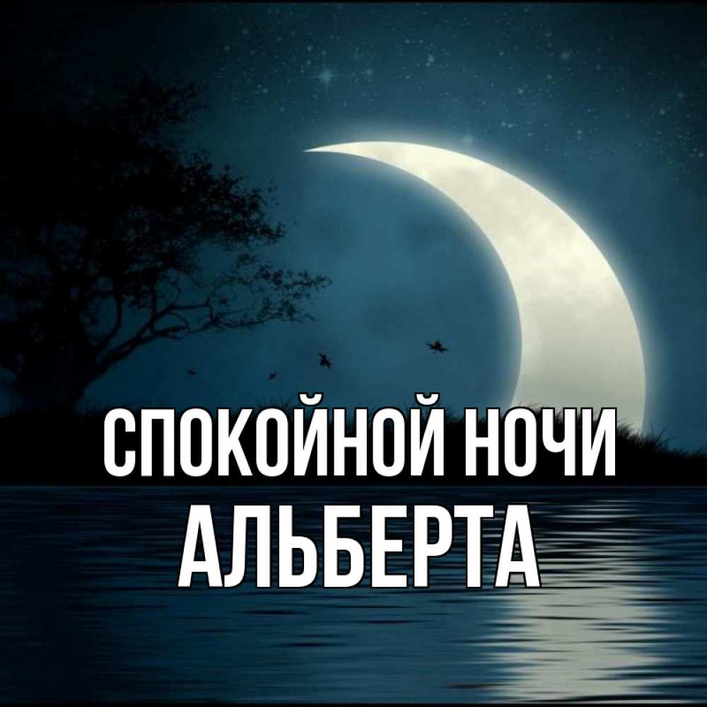 Открытка на каждый день с именем, Альберта Спокойной ночи вода Прикольная открытка с пожеланием онлайн скачать бесплатно 