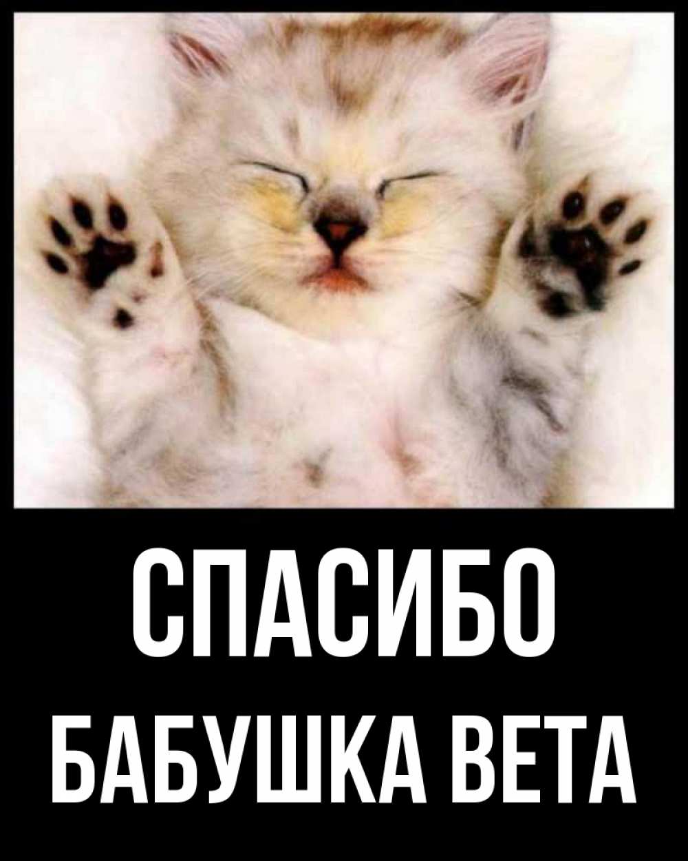 Открытка на каждый день с именем, Бабушка-Вета Спасибо маленький котенок Прикольная открытка с пожеланием онлайн скачать бесплатно 