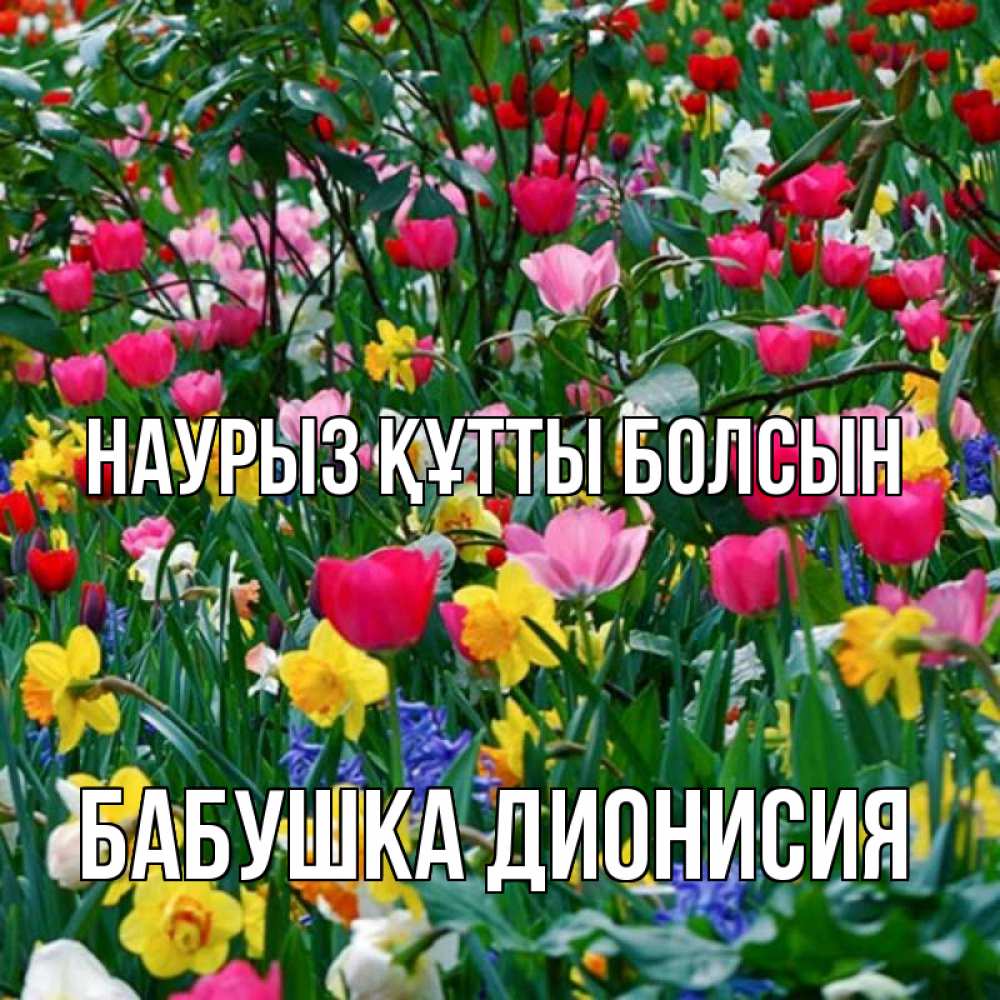 Открытка на каждый день с именем, Бабушка-Дионисия Наурыз құтты болсын с наурызом поздравления для женщины Прикольная открытка с пожеланием онлайн скачать бесплатно 