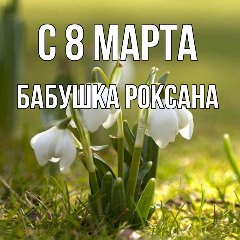 Открытка на каждый день с именем, Бабушка-Роксана С 8 МАРТА ранние цветы 2 Прикольная открытка с пожеланием онлайн скачать бесплатно 