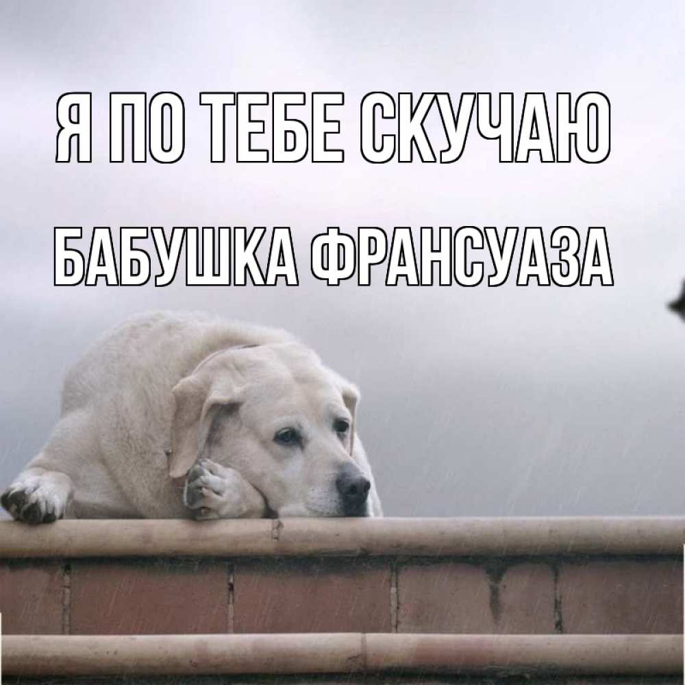 Открытка на каждый день с именем, Бабушка-Франсуаза Я по тебе скучаю ждет Прикольная открытка с пожеланием онлайн скачать бесплатно 