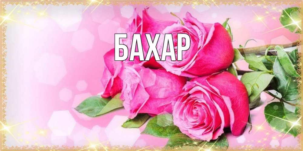 Открытка на каждый день с именем, Бахар Главная открытка с розами на праздник весны наурыз Прикольная открытка с пожеланием онлайн скачать бесплатно 