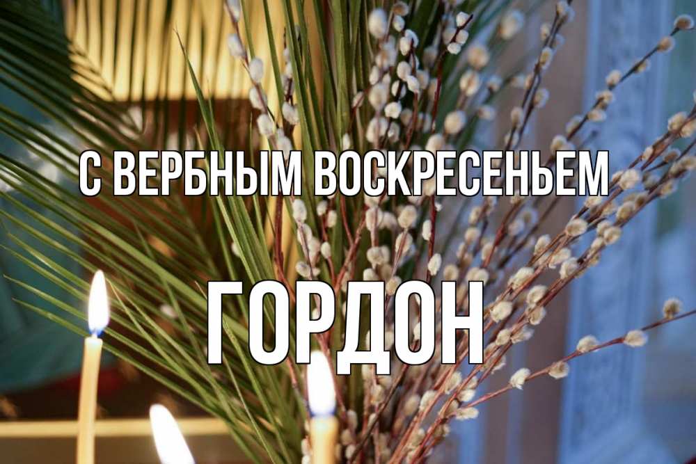 Открытка на каждый день с именем, Гордон С вербным воскресеньем верба Прикольная открытка с пожеланием онлайн скачать бесплатно 