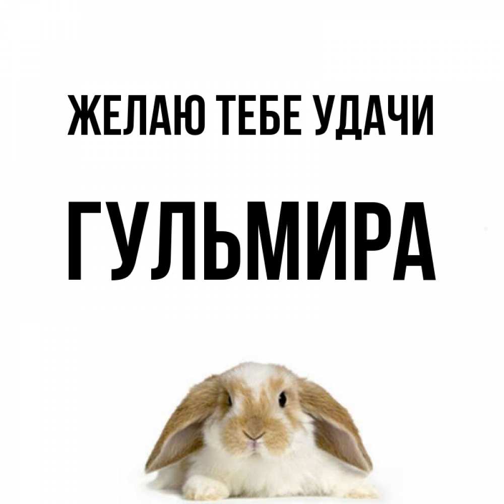 Открытка на каждый день с именем, Гульмира Желаю тебе удачи открытки с произвольным текстом который можно вставить в открытку и создать ее самостоятельно бесплатно онлайн Прикольная открытка с пожеланием онлайн скачать бесплатно 