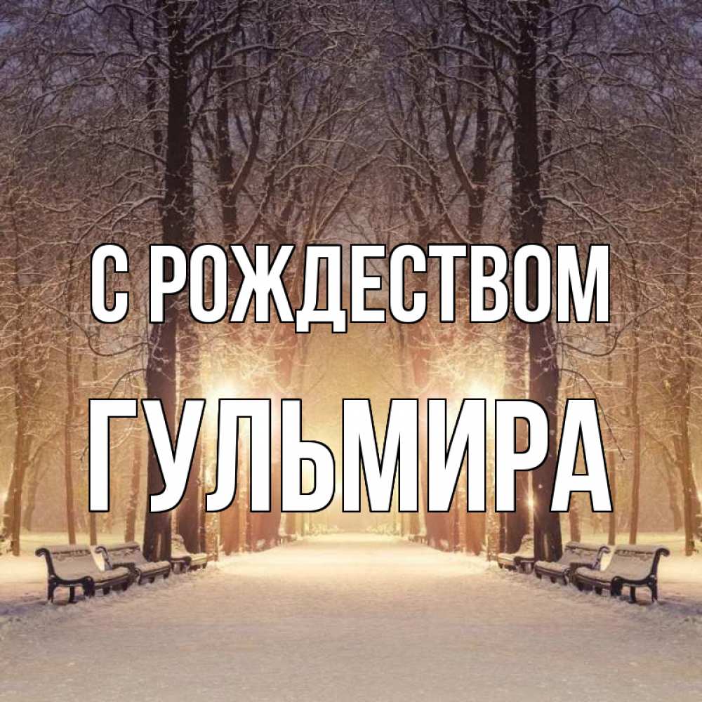 Открытка на каждый день с именем, Гульмира С рождеством зима, парк, фонарь, лес Прикольная открытка с пожеланием онлайн скачать бесплатно 