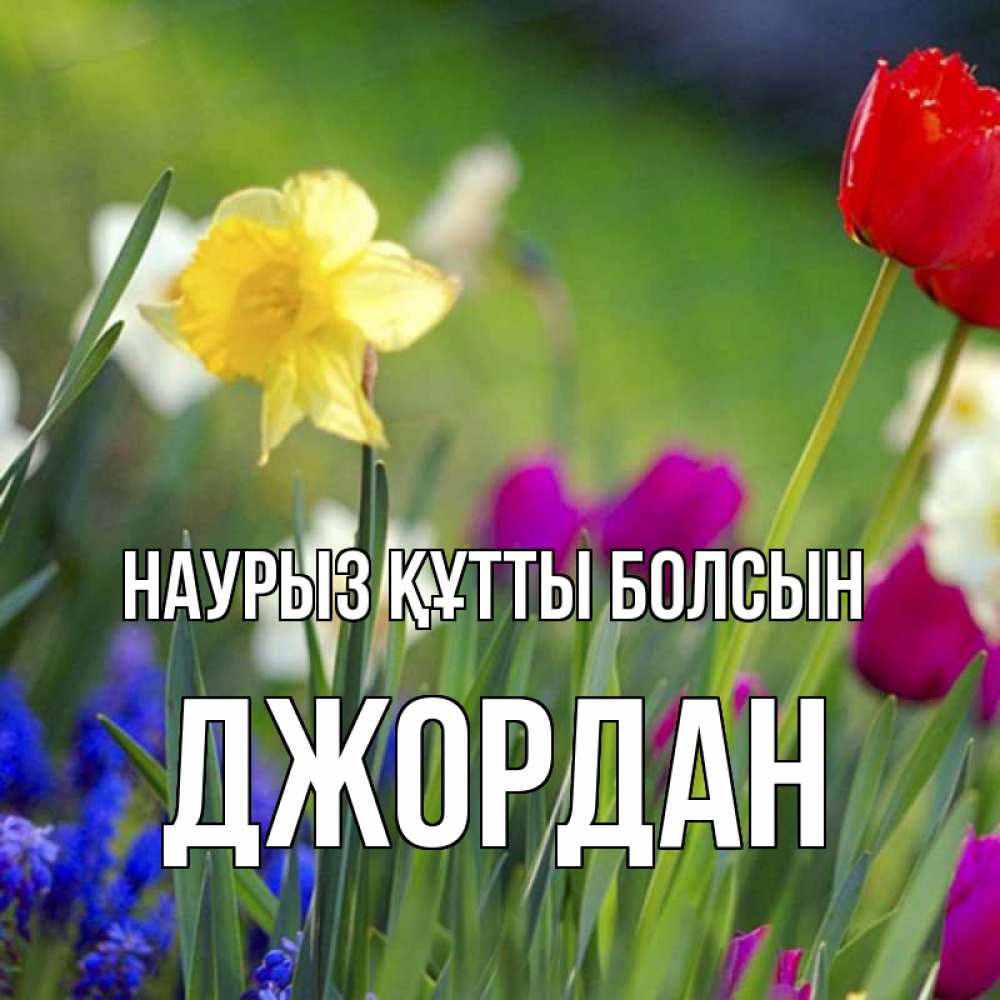 Открытка на каждый день с именем, Джордан Наурыз құтты болсын наурыз  3 открытки Прикольная открытка с пожеланием онлайн скачать бесплатно 