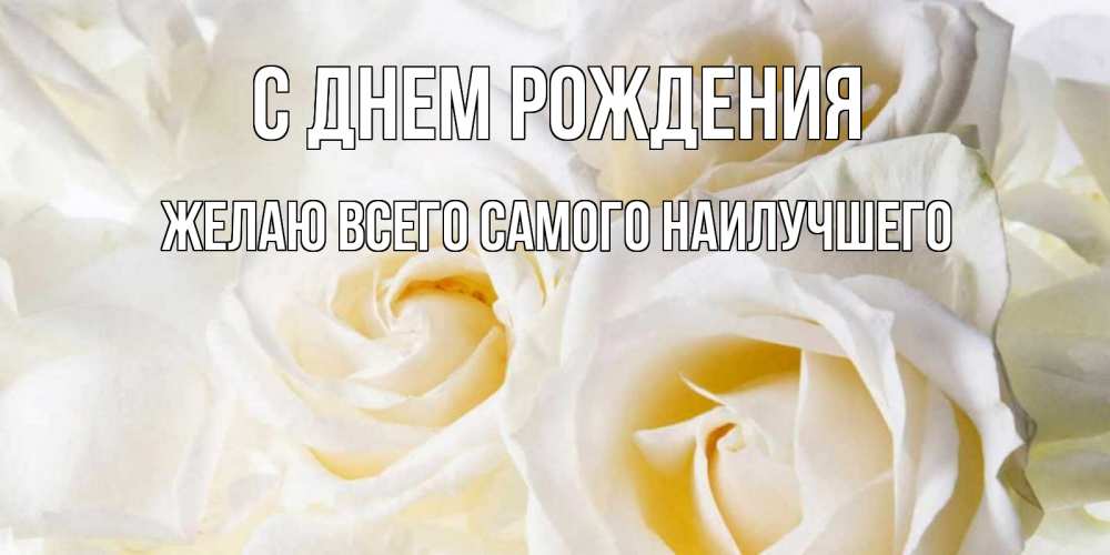 Открытка на каждый день с именем, Желаю-всего-самого-наилучшего С днем рождения открыточки на день рождения любимым Прикольная открытка с пожеланием онлайн скачать бесплатно 