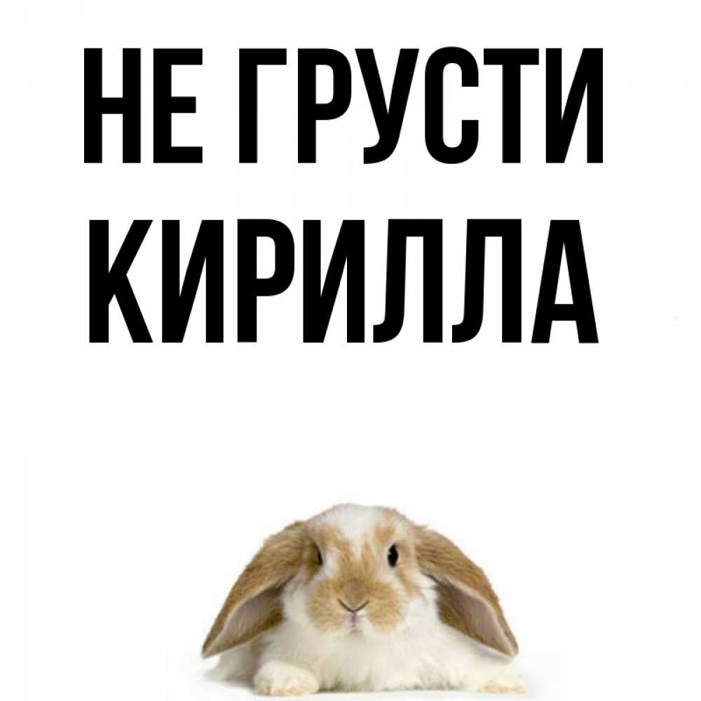 Открытка на каждый день с именем, Кирилла Не грусти коричнево белый заяц с большими ушками Прикольная открытка с пожеланием онлайн скачать бесплатно 