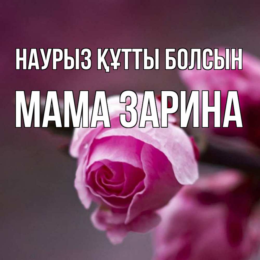 Открытка на каждый день с именем, Мама-Зарина Наурыз құтты болсын весна Прикольная открытка с пожеланием онлайн скачать бесплатно 