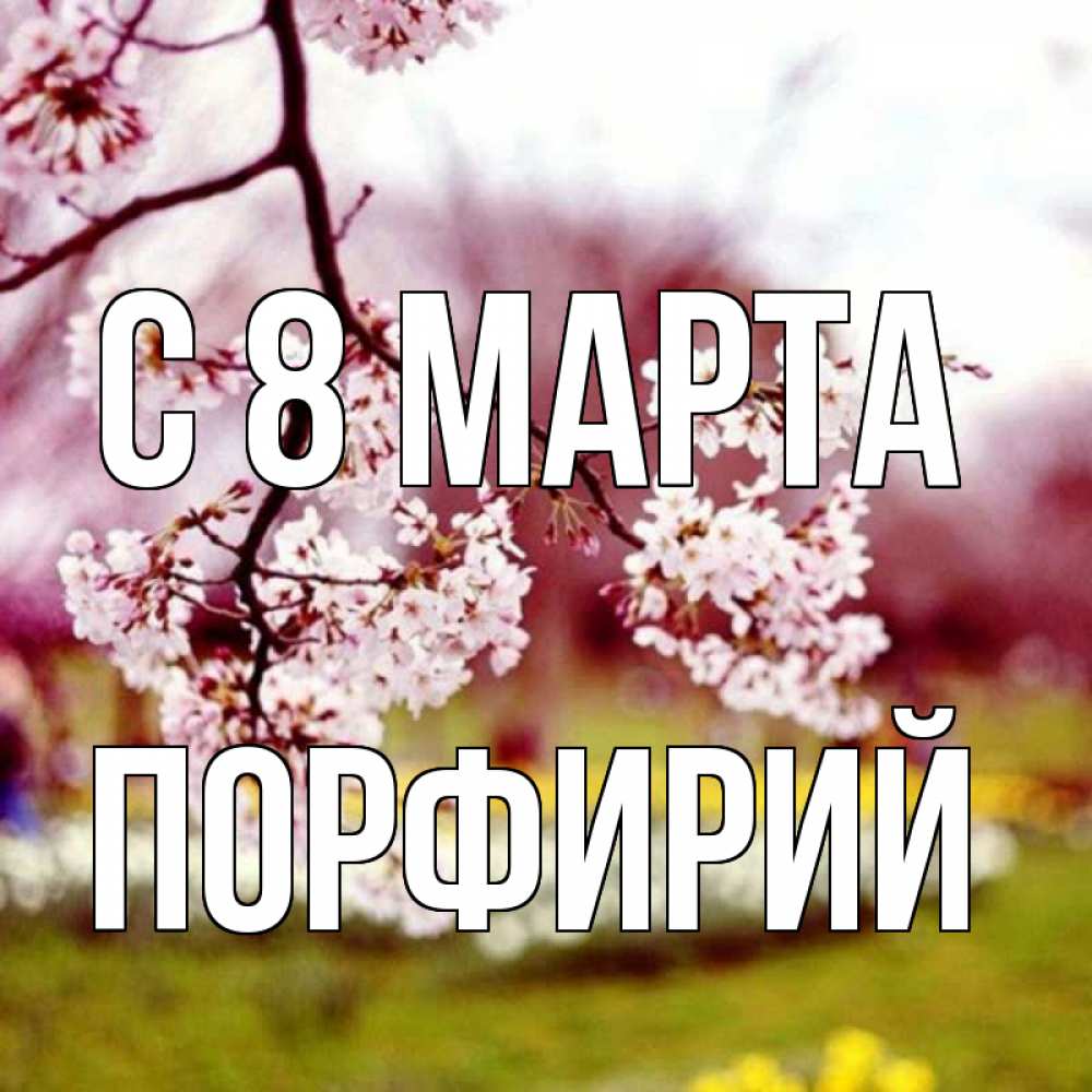 Открытка на каждый день с именем, Порфирий С 8 МАРТА яблоня Прикольная открытка с пожеланием онлайн скачать бесплатно 