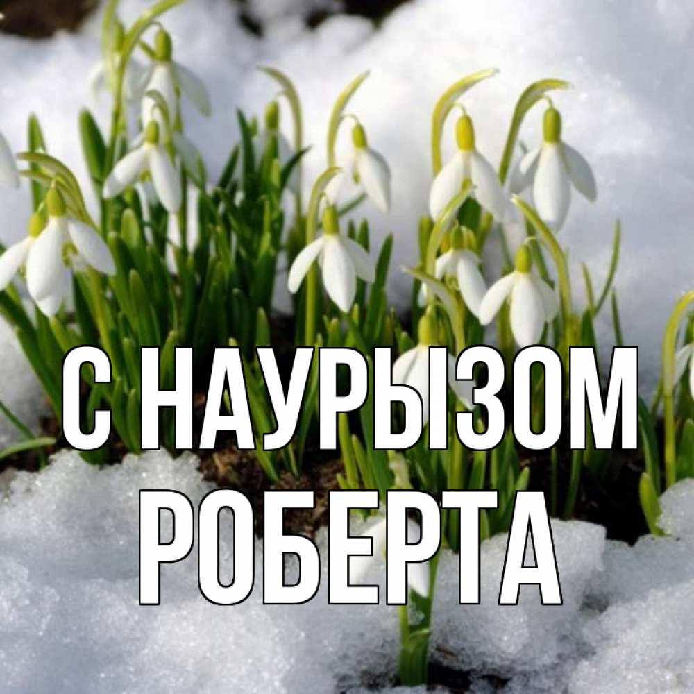 Открытка на каждый день с именем, Роберта С наурызом цветы весенние Прикольная открытка с пожеланием онлайн скачать бесплатно 