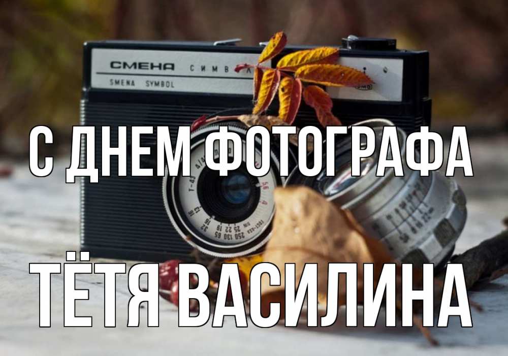 Открытка на каждый день с именем, Тётя-Василина С днем фотографа с днем фотографа Прикольная открытка с пожеланием онлайн скачать бесплатно 