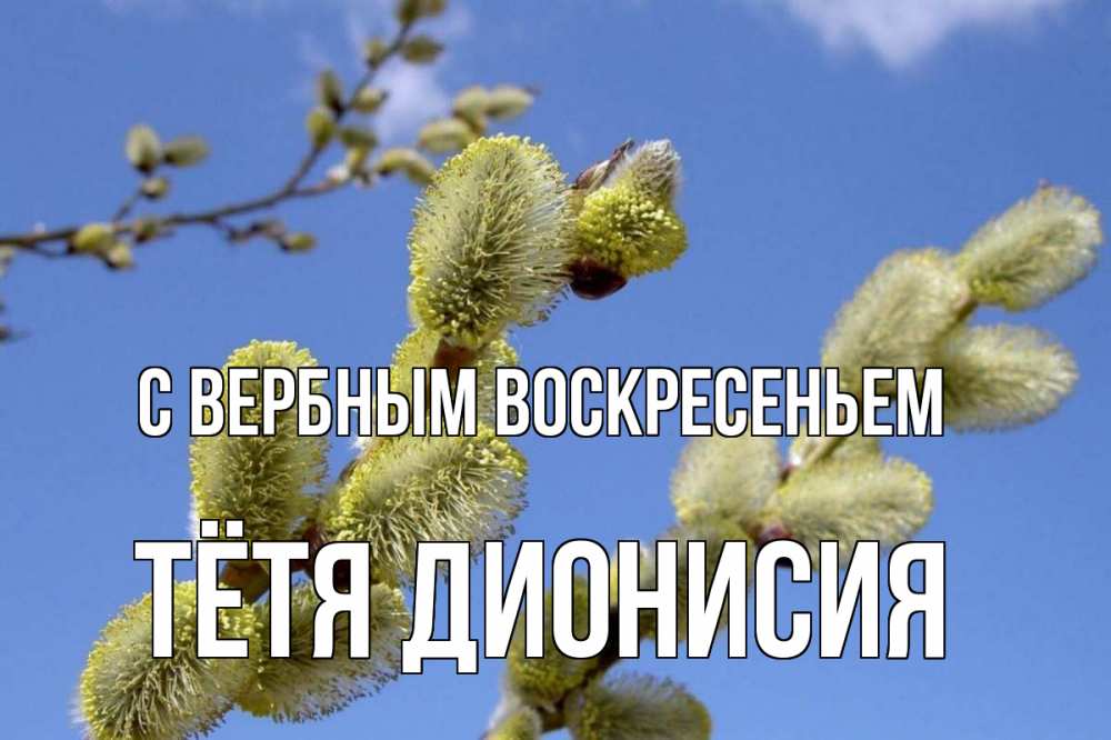 Открытка на каждый день с именем, Тётя-Дионисия С вербным воскресеньем верба Прикольная открытка с пожеланием онлайн скачать бесплатно 