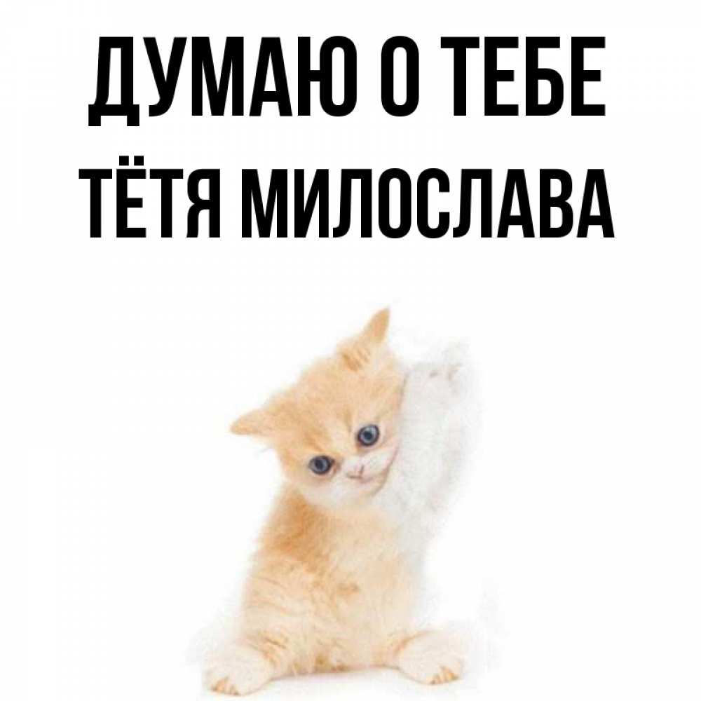 Открытка на каждый день с именем, Тётя-Милослава Думаю о тебе зверушки и милота Прикольная открытка с пожеланием онлайн скачать бесплатно 