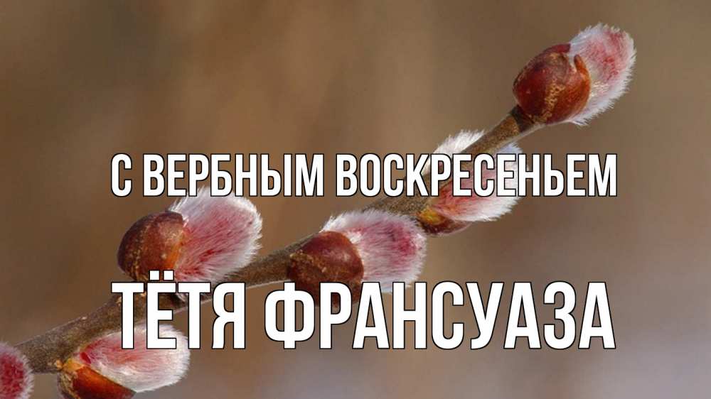 Открытка на каждый день с именем, Тётя-Франсуаза С вербным воскресеньем верба Прикольная открытка с пожеланием онлайн скачать бесплатно 