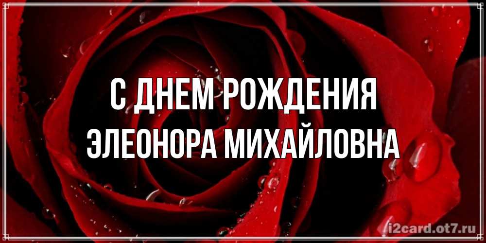 Открытка на каждый день с именем, Элеонора-Михайловна С днем рождения крупная бордовая роза Прикольная открытка с пожеланием онлайн скачать бесплатно 