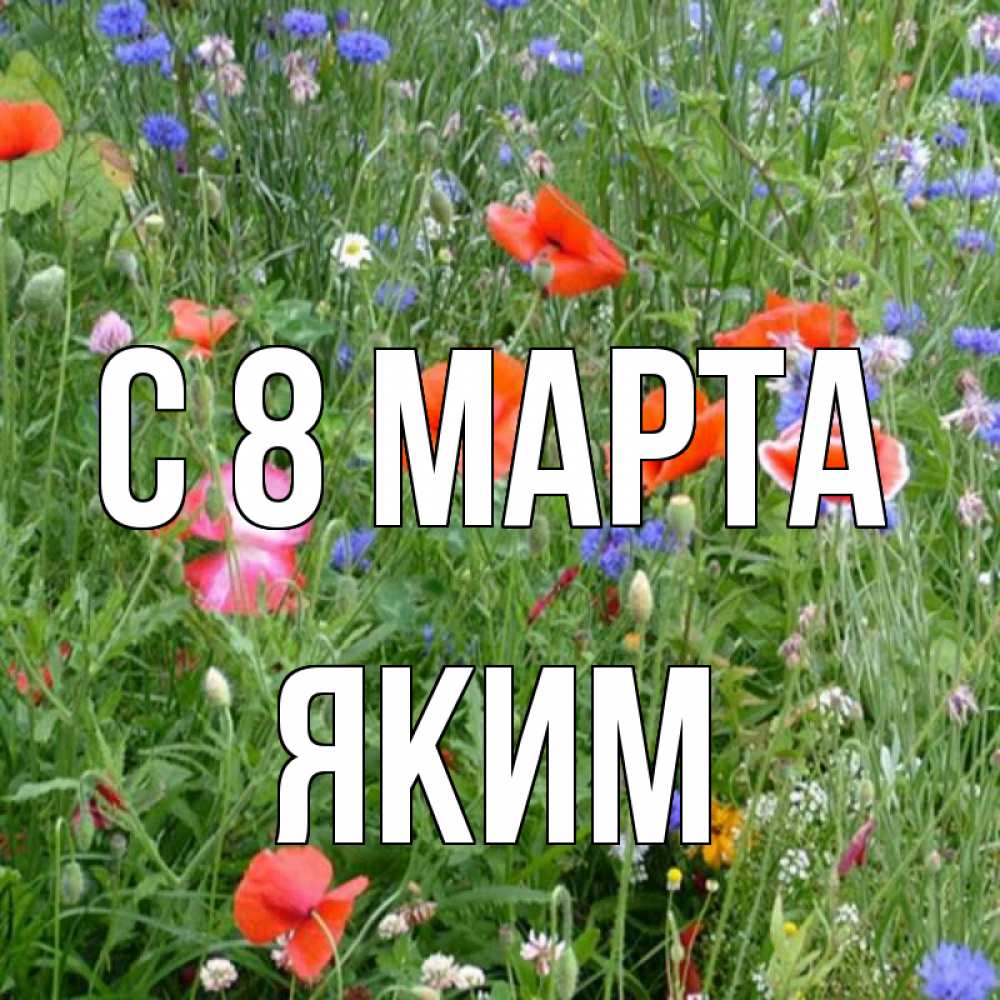 Открытка на каждый день с именем, Яким С 8 марта международный женский день 4 Прикольная открытка с пожеланием онлайн скачать бесплатно 