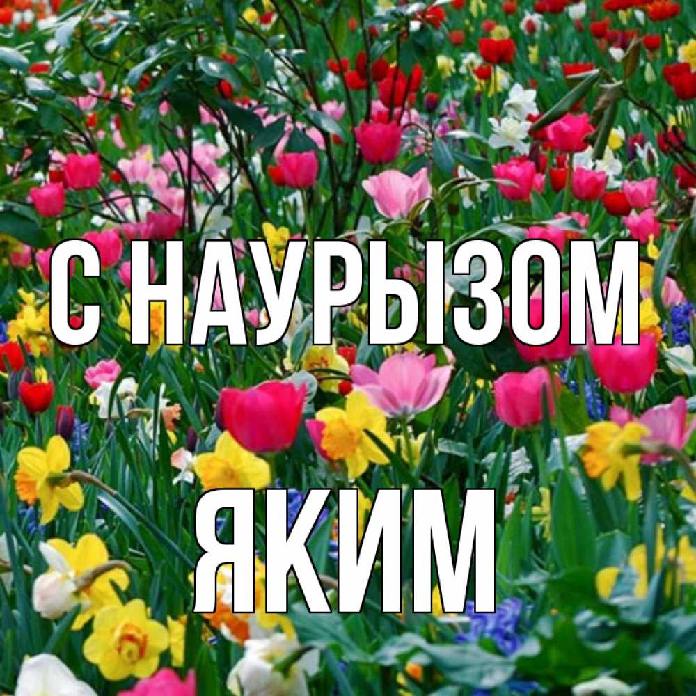 Открытка на каждый день с именем, Яким С наурызом с наурызом праздником весны поздравления для женщины Прикольная открытка с пожеланием онлайн скачать бесплатно 