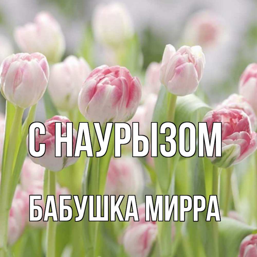 Открытка на каждый день с именем, Бабушка-Мирра С наурызом цветы Прикольная открытка с пожеланием онлайн скачать бесплатно 