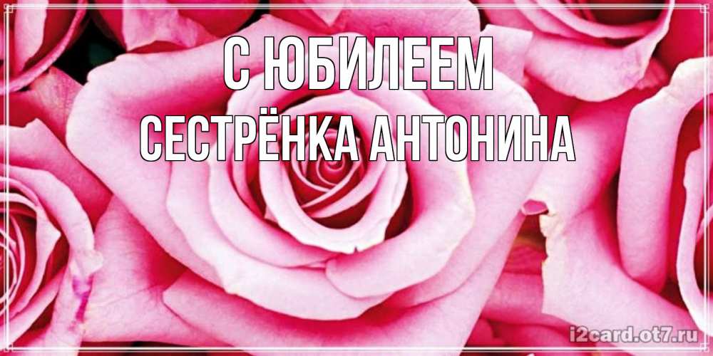 Открытка на каждый день с именем, Сестрёнка-Антонина С юбилеем открытка с розовой розой на день рождения Прикольная открытка с пожеланием онлайн скачать бесплатно 