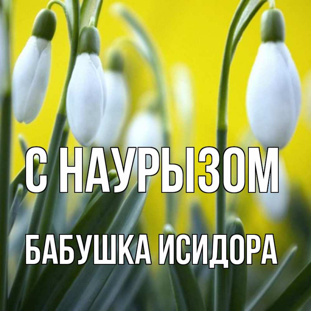 Открытка на каждый день с именем, Бабушка-Исидора С наурызом весенние цветы Прикольная открытка с пожеланием онлайн скачать бесплатно 