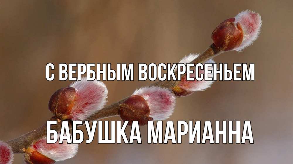 Открытка на каждый день с именем, Бабушка-Марианна С вербным воскресеньем верба Прикольная открытка с пожеланием онлайн скачать бесплатно 