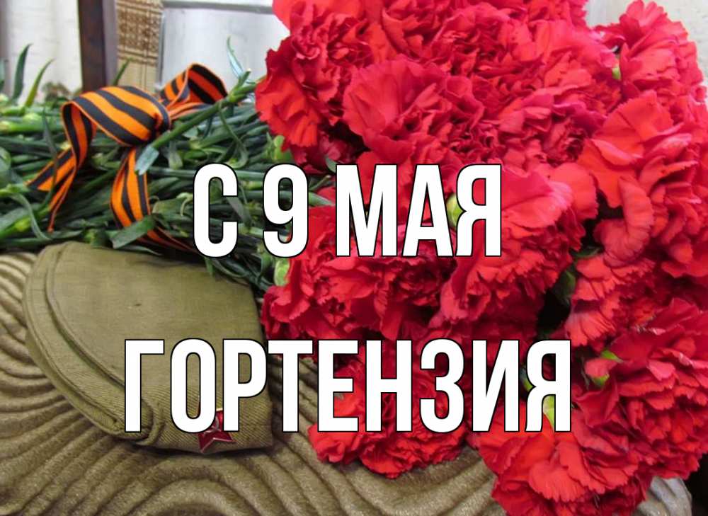 Открытка на каждый день с именем, Гортензия С 9 мая 9 мая Прикольная открытка с пожеланием онлайн скачать бесплатно 